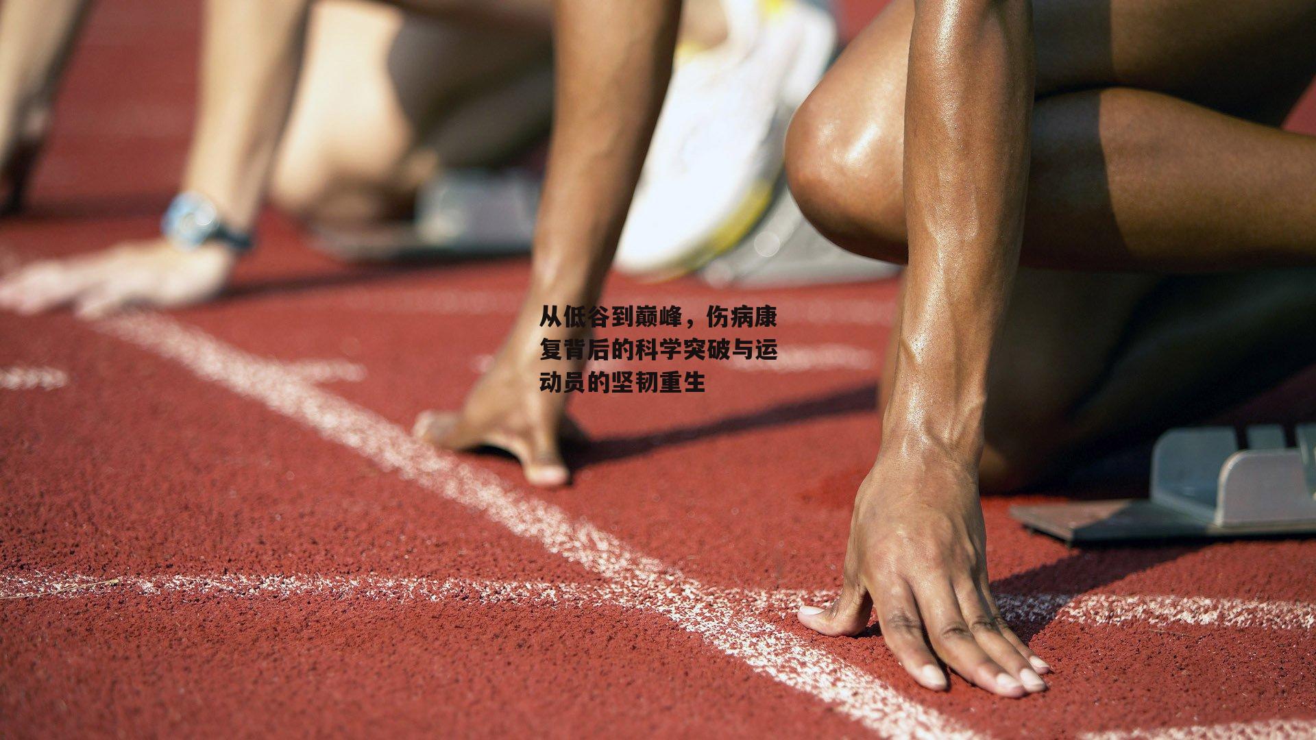 从低谷到巅峰，伤病康复背后的科学突破与运动员的坚韧重生